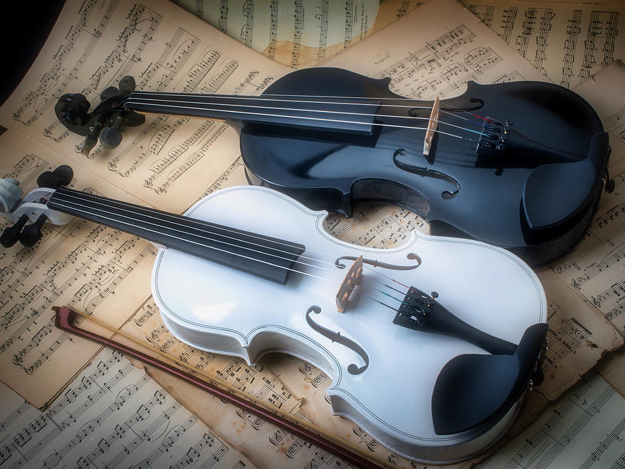 Violin Photograph - Together Black And White Violins by Garry Gay