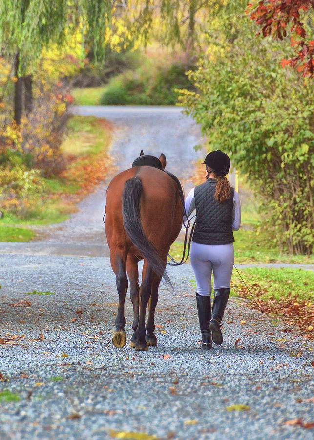 Together Photograph by Dressage Design