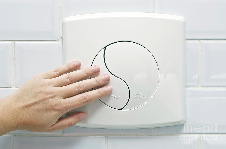 Toilet Dual Flush Button Photograph by Lea Paterson/science Photo Library