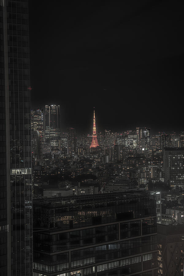 Tokyo 333m Photograph by Arata Tanaka