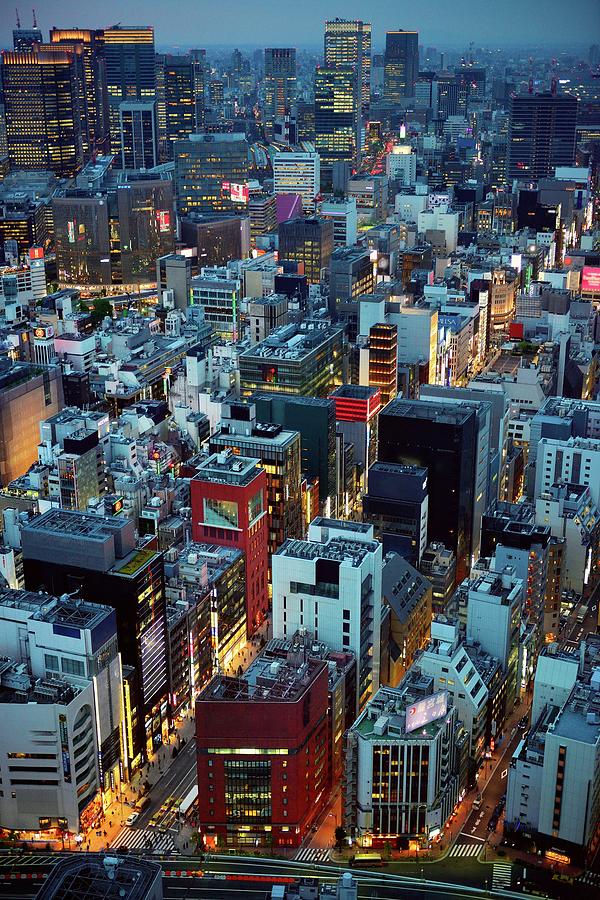 Tokyo Aerial View Of Twilight Photograph by Vladimir Zakharov