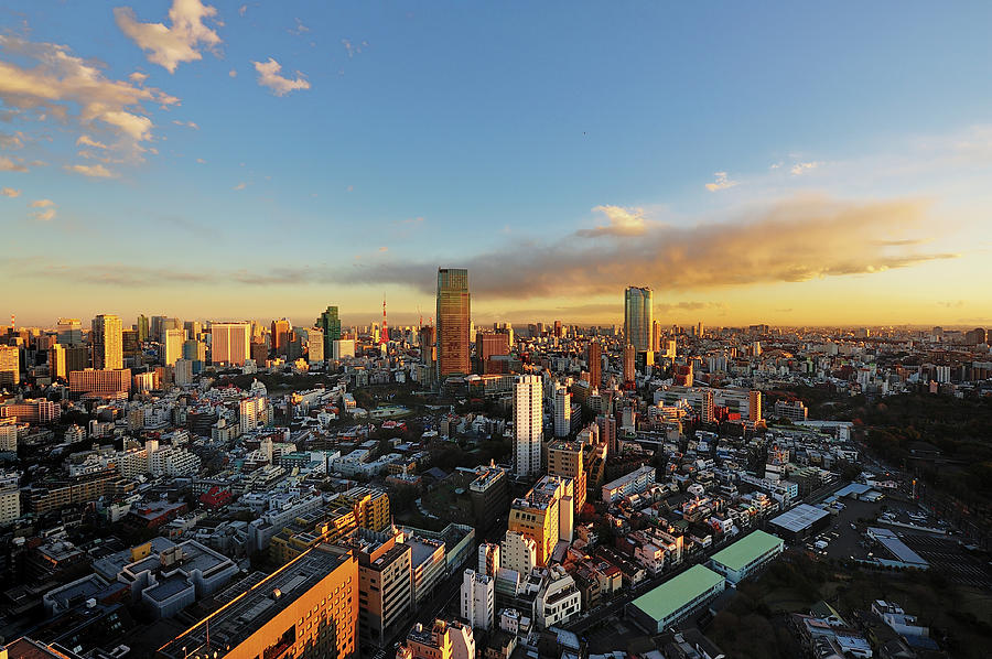 Tokyo Birds-eye View At Sunset Photograph by Vladimir Zakharov