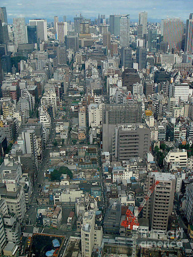 Tokyo Cityscape Photograph by Yvonne Johnstone