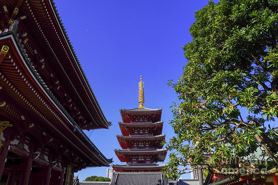 Tokyo Kannon temple h2 Photograph by Vladi Alon