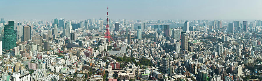 Tokyo Landmark Cityscape Panorama Photograph by Fotovoyager