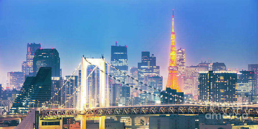 Tokyo Skyline Photograph - Tokyo nights by Matteo Colombo