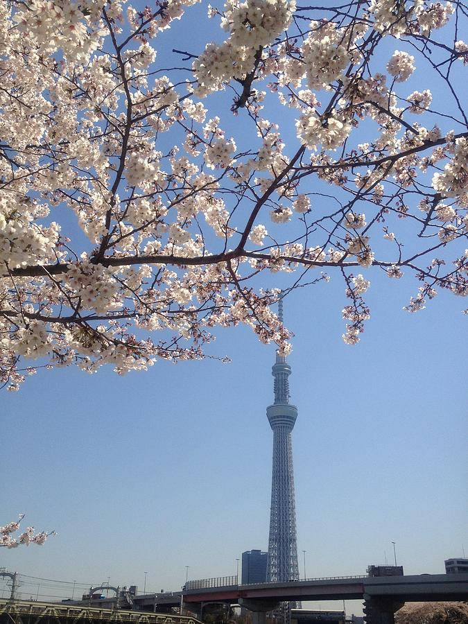 Tokyo Sky Tree Photograph by Hisako Hatakeyama - Pixels