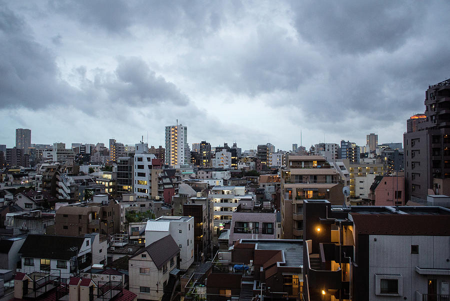 Tokyo Skyline Photograph by Alex Kane