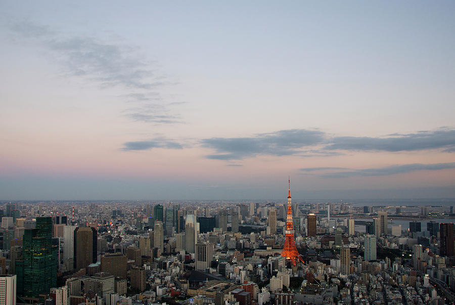 Tokyo Skyline Photograph by Celine Ramoni Lee