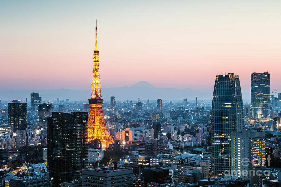 Tokyo tower and city at sunset, Japan Photograph by Matteo Colombo