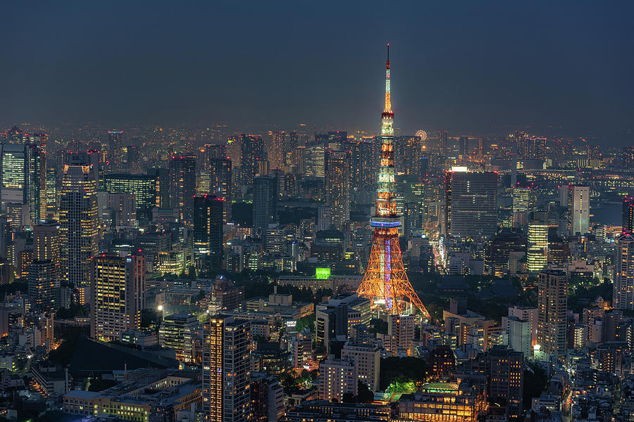 Sunset Photograph - Tokyo Tower  by Guida Simoes