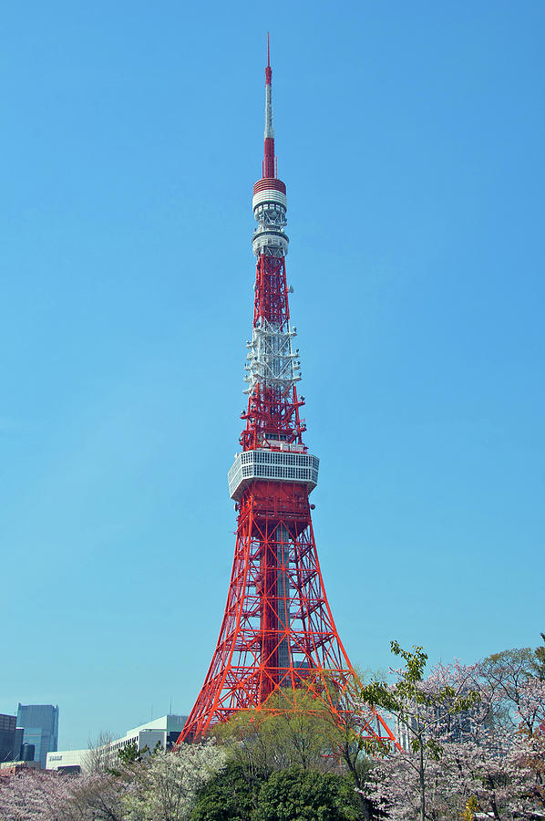 Tokyo Tower Photograph by Photograph By Paul Atkinson