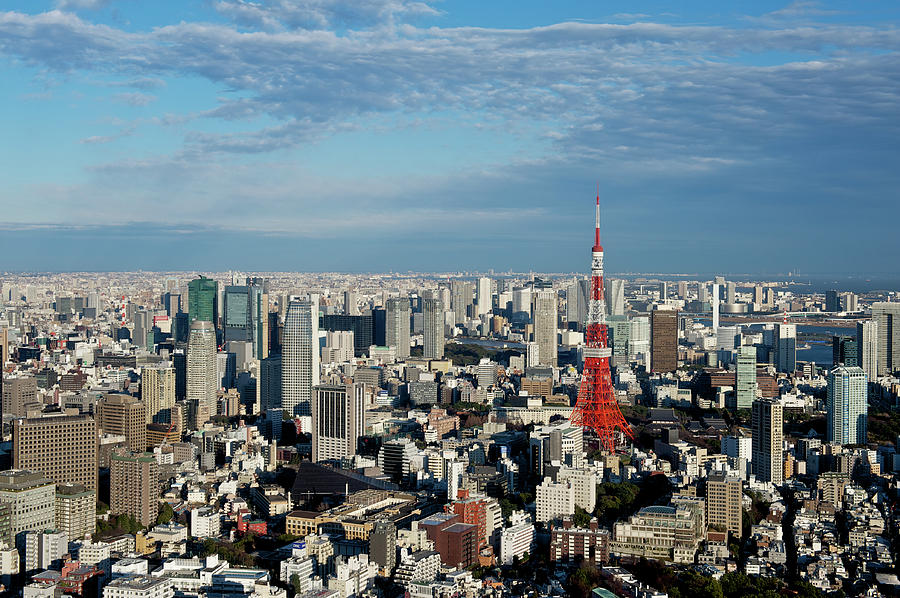 Tokyo View At Daylight Photograph by Vladimir Zakharov