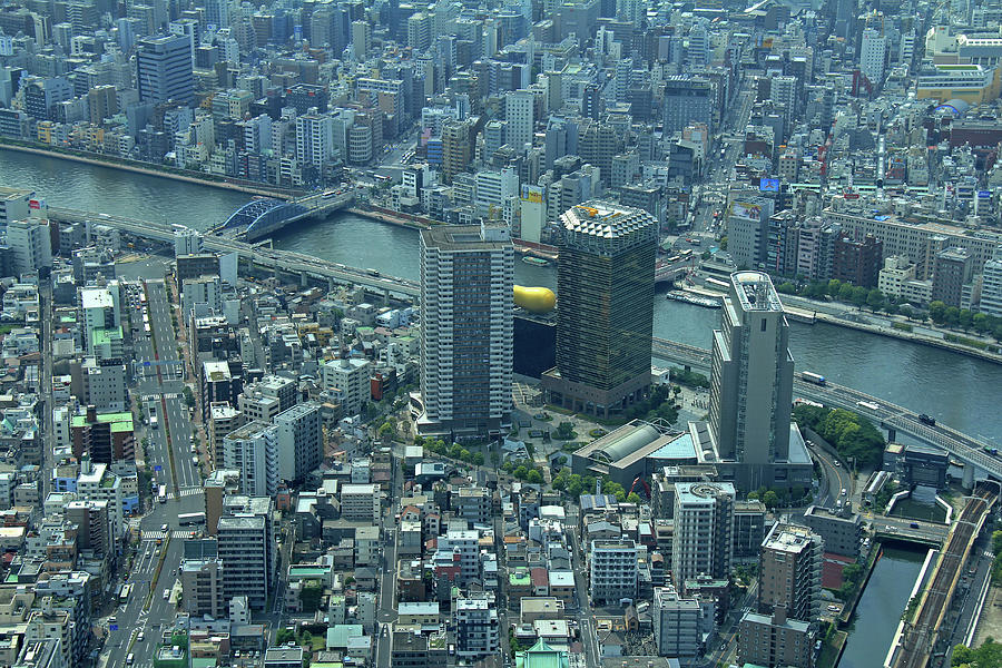 Tokyo - View from Skytree Photograph by Richard Krebs