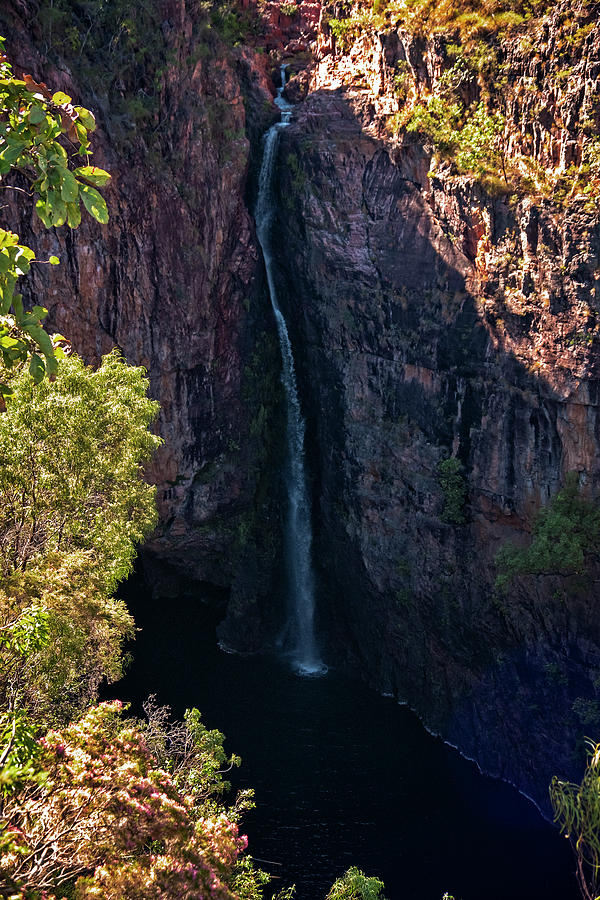 Tolmer Falls Photograph by Catherine Reading