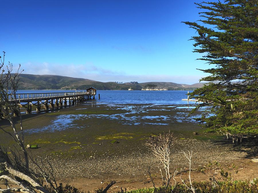 Tomales Bay, California, USA 2  Photograph by Richard Thomas
