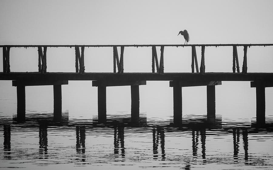 Black And White Photograph - Tomales Bay VI BW by David Gordon