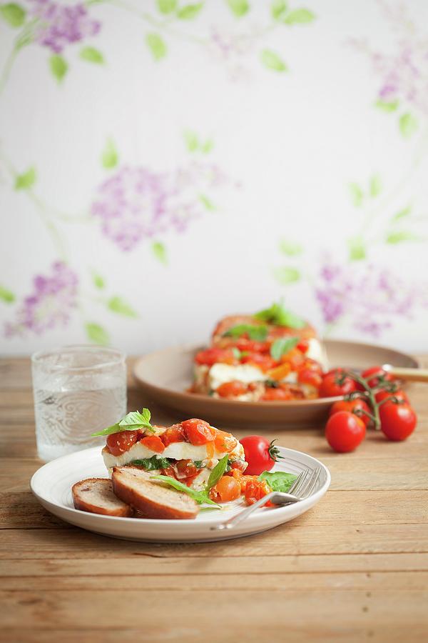 Tomato And Mozzarella Terrine Photograph by Great Stock! - Fine Art America