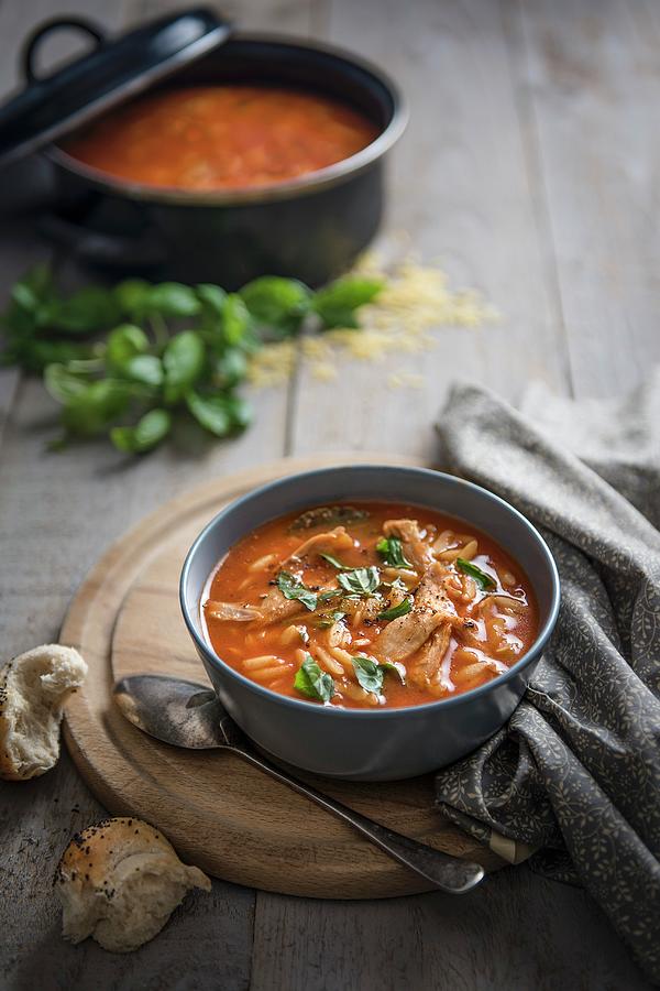 Tomato, Chicken Soup With Orzo Pasta And Basil In A Bowl Photograph by Magdalena Hendey