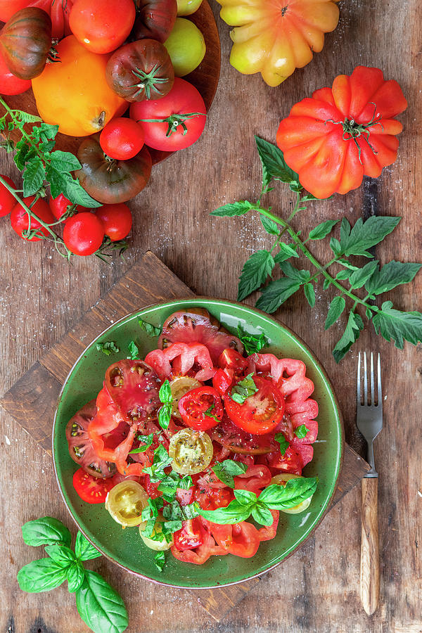 Tomato Salad Photograph by Irina Meliukh