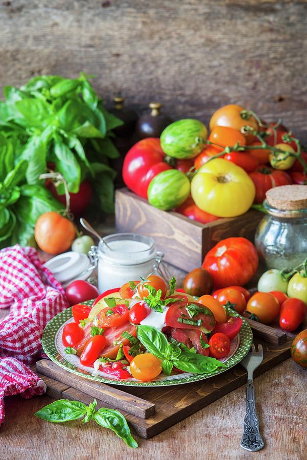 Tomato Salad With Basil And Garlic Photograph by Irina Meliukh