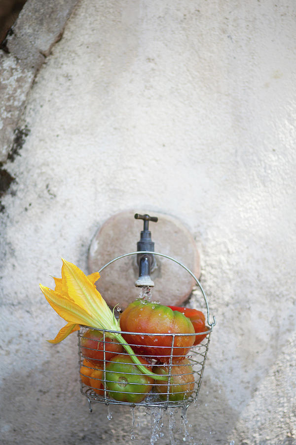 Tomatoes And Courgette Flowers In A Wire Basket Hanging On A Tap On A Stone Wall Photograph by Eising Studio