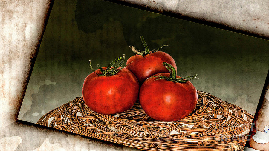 Tomatoes Art Photograph by Shirley Mangini
