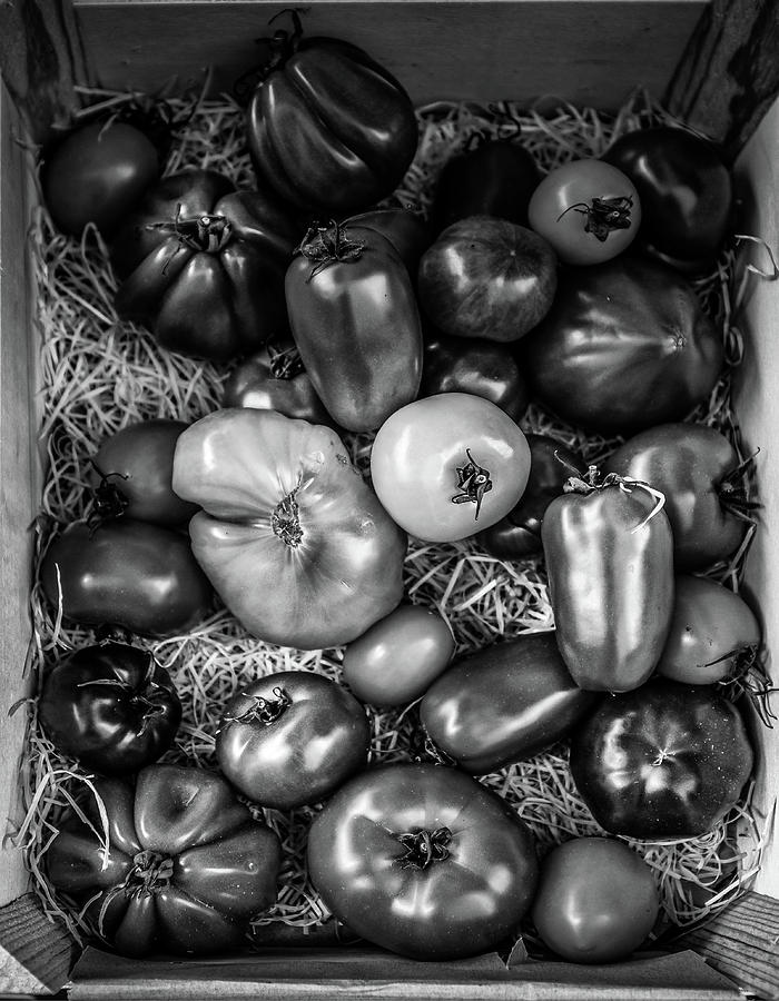 Black And White Photograph - Tomatoes At The French Market by Georgia Clare