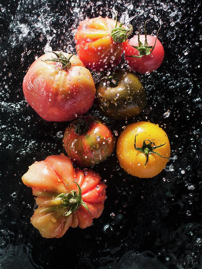 Tomatoes Being Sprayed With Water Photograph by Michael Van Emde Boas