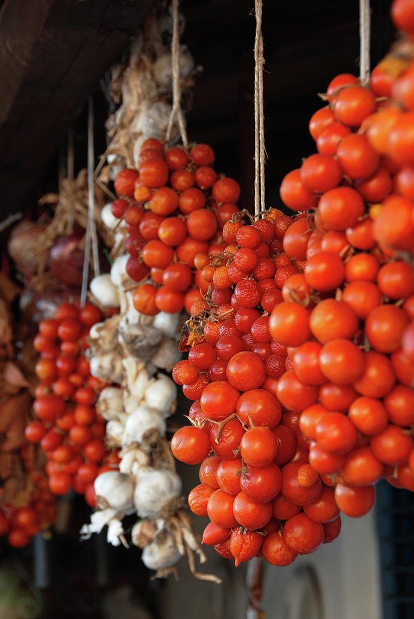 Tomatoes, Garlic And Onions Hanging, In Photograph by Dallas Stribley