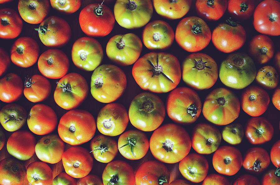 Tomatoes Photograph by Lisa Gutierrez Tomatoes Photograph by Lisa Gutierrez