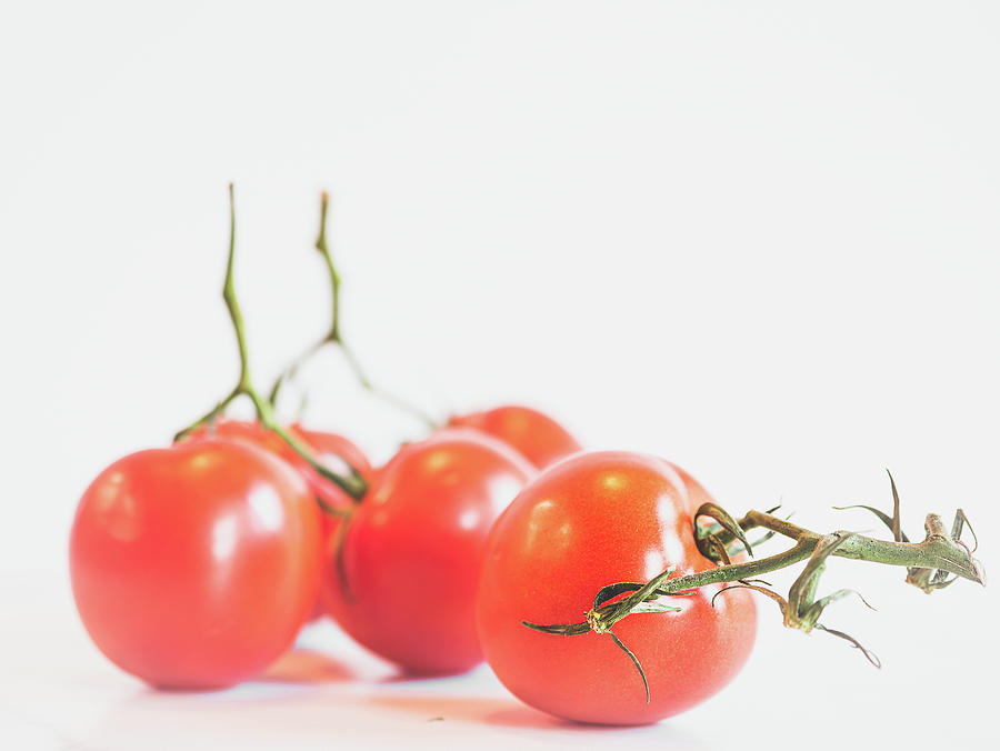 Tomatoes Photograph by Lori Rowland