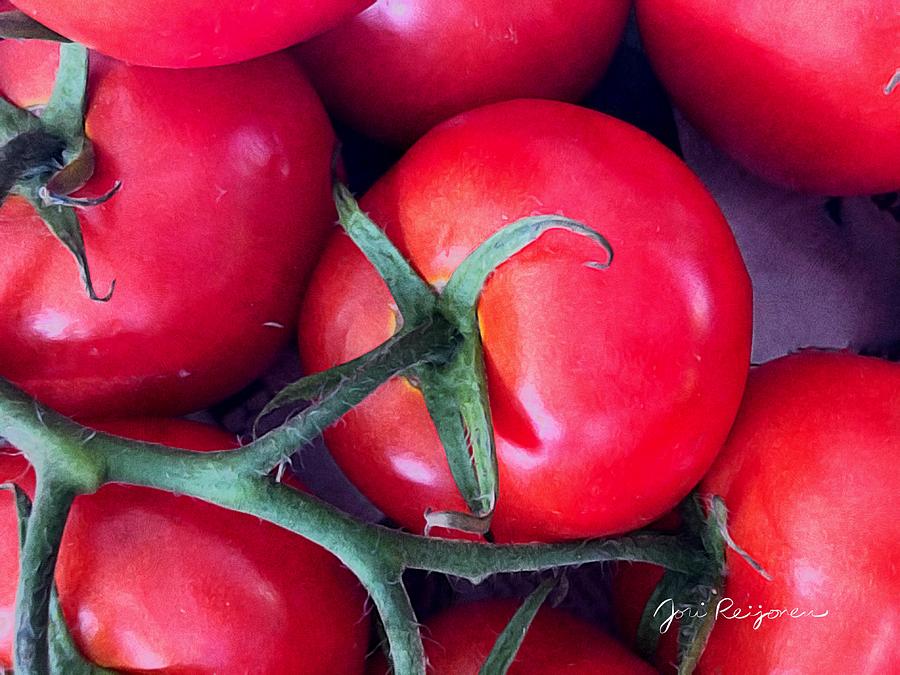 Tomatoes on the Vine Photograph by Jori Reijonen