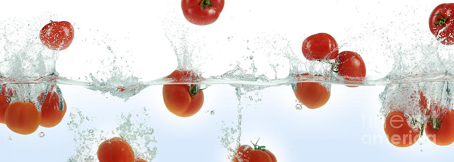 Tomatoes Splashing In Water Photograph by Leonello Calvetti/science Photo Library