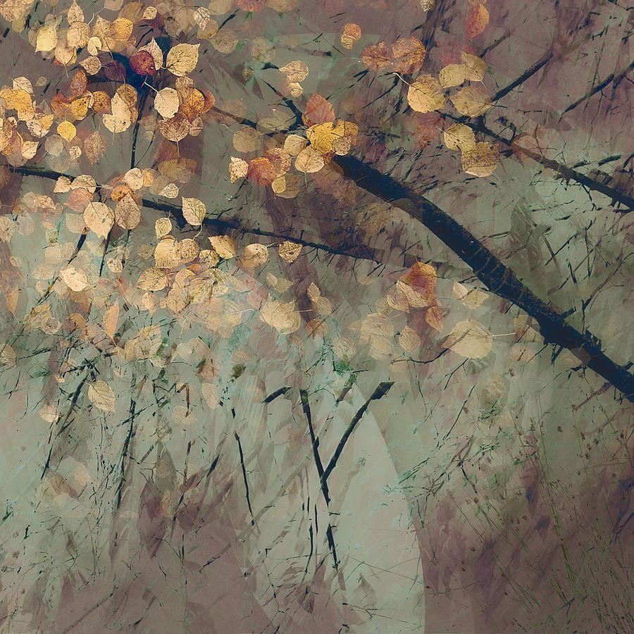 Fall Photograph - Tomorrow by Nel Talen
