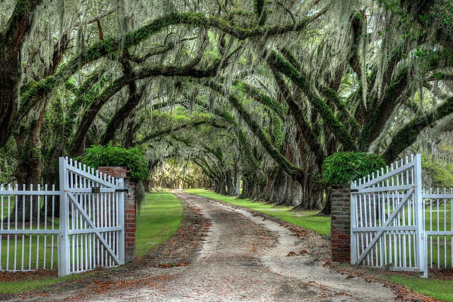 Tomotley Plantation South Carolina Photograph By Harriet Feagin Photography Pixels