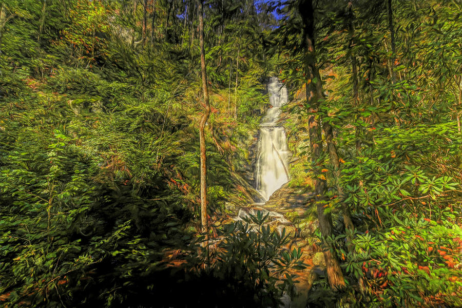 Toms Creek Falls 3 Painted Photograph by Judy Vincent