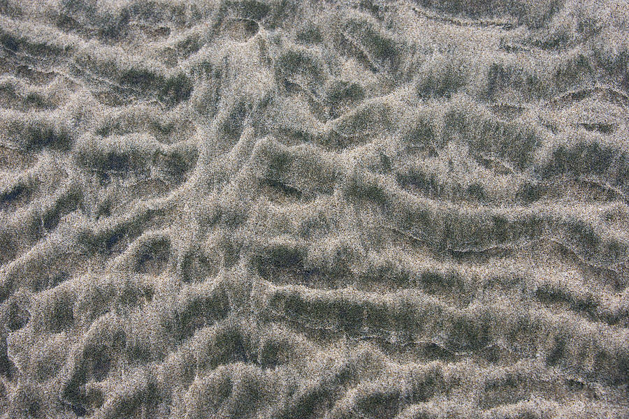 Sand Pattern Photograph - Tones #8 by A C Auriemma