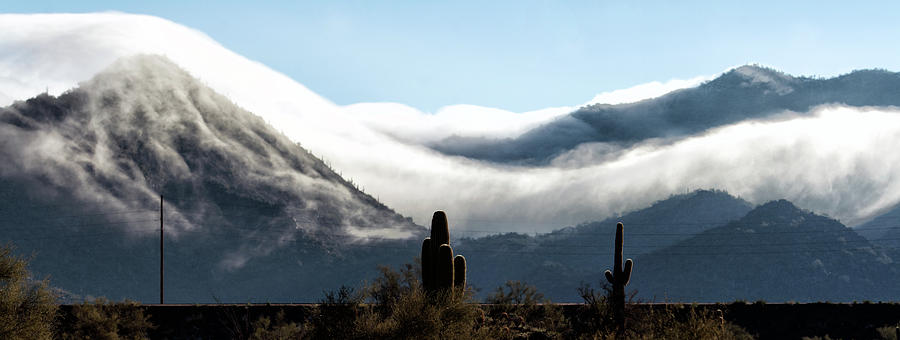 Tonto National Forest 4816-022319 Photograph by Tam Ryan