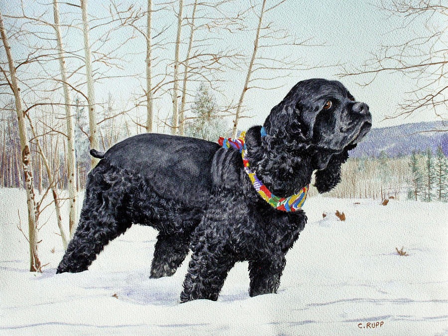 Dog Painting - Too Much Snow by Carol J Rupp