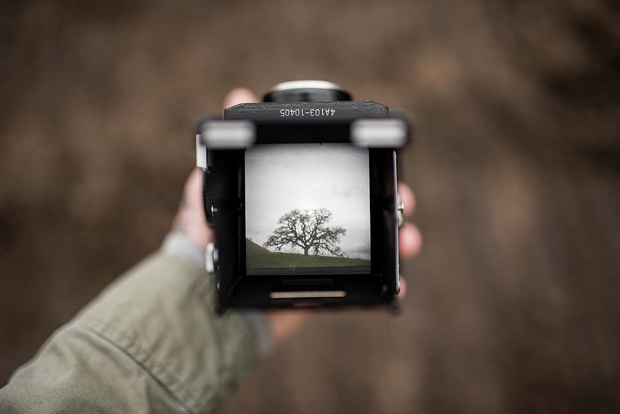 Top Down Photo Looking Through View Finder Of Camera Photograph by Cavan Images - Art America