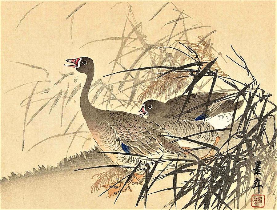 Bird Painting - Top Quality Art - Keinen Kachoshokan 12view 10 by Imao Keinen