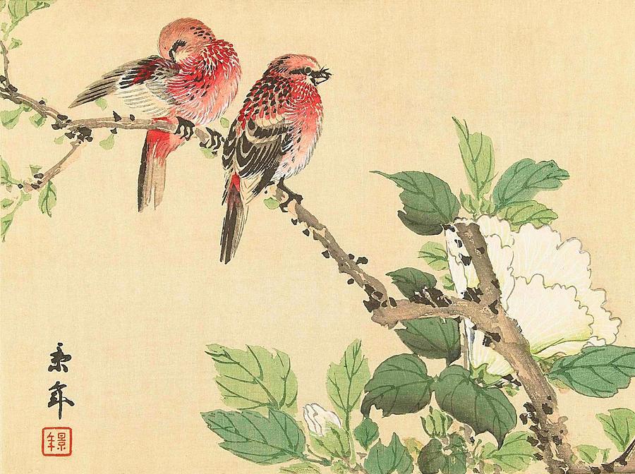 Bird Painting - Top Quality Art - Keinen Kachoshokan 12view 6 by Imao Keinen
