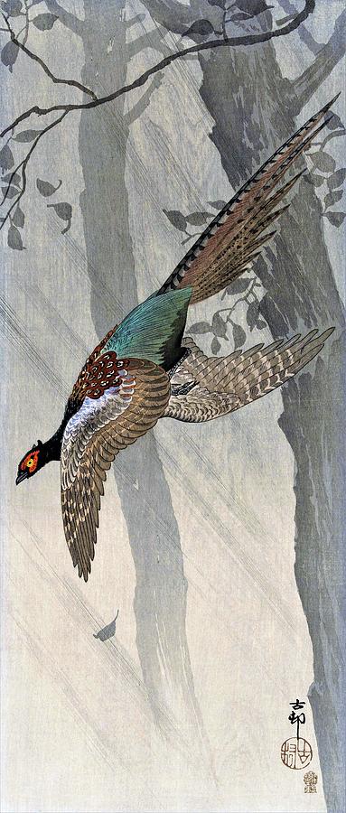 Pheasant Painting - Top Quality Art - Pheasant by Ohara Koson