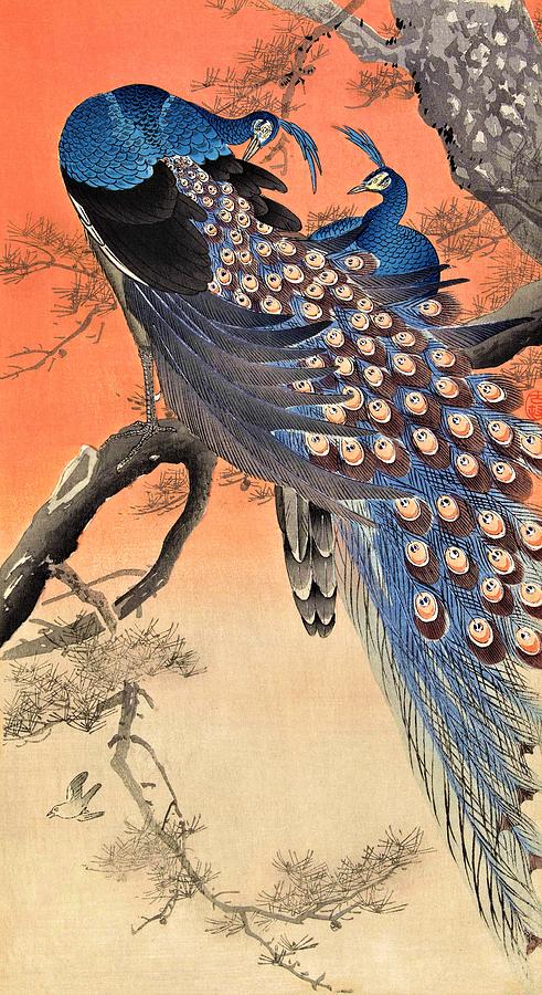 Top Quality Art - Two Peacock Painting by Ohara Koson