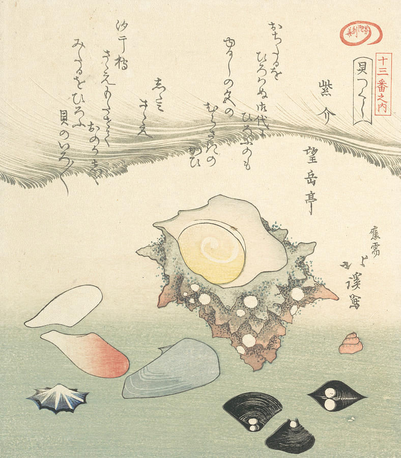 Top-Shell and Various Shells Relief by Totoya Hokkei