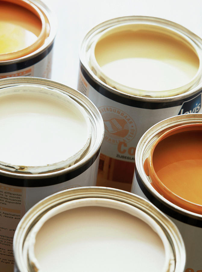 Top View Of Pots Of Paint Photograph by Luc Wauman