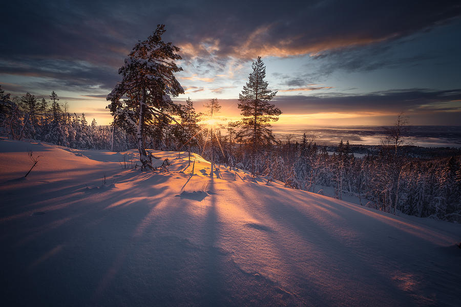 Top View Photograph by Ole Henrik Skjelstad