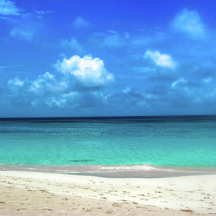 Topical Beach View Anguilla Photograph by Flippin Sweet Gear
