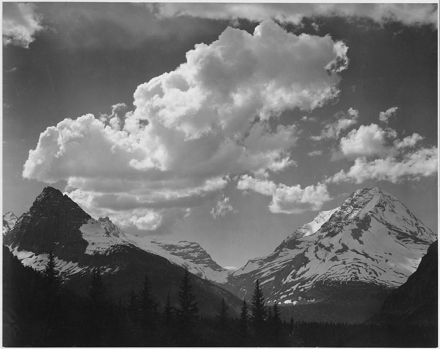 Tops of pine trees snow covered In Glacier National Park Montana. 1933 - 1942 Painting by Ansel Adams